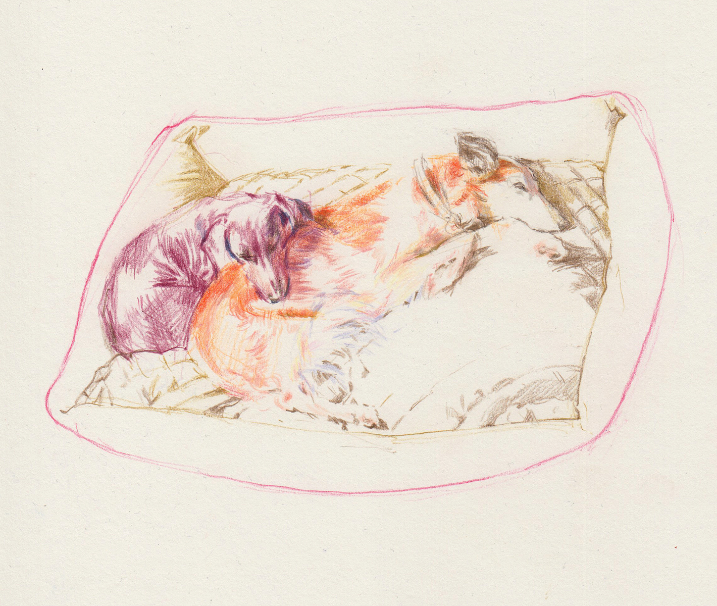 Fritzie & Gretel<br />coloured pencil on paper<br /> 17,6 x 20,8 cm Fritzie & Gretel, coloured pencil on paper, 17,6 x 20,8 cm