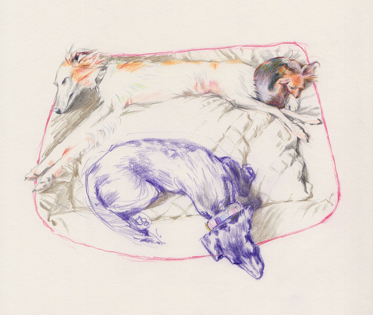 3 Friends<br />coloured pencil on paper<br /> 17,6 x 20,8 cm 3 Friends, coloured pencil on paper, 17,6 x 20,8 cm